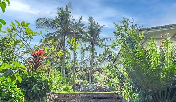 Double With Mount And Jungle View * Batumadeg